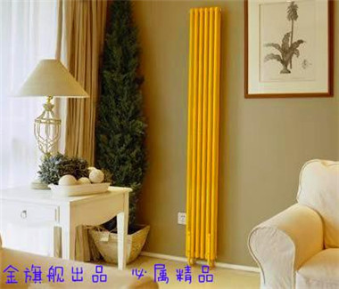 家用暖气片安装图-客厅暖气片安装效果，金旗舰出品